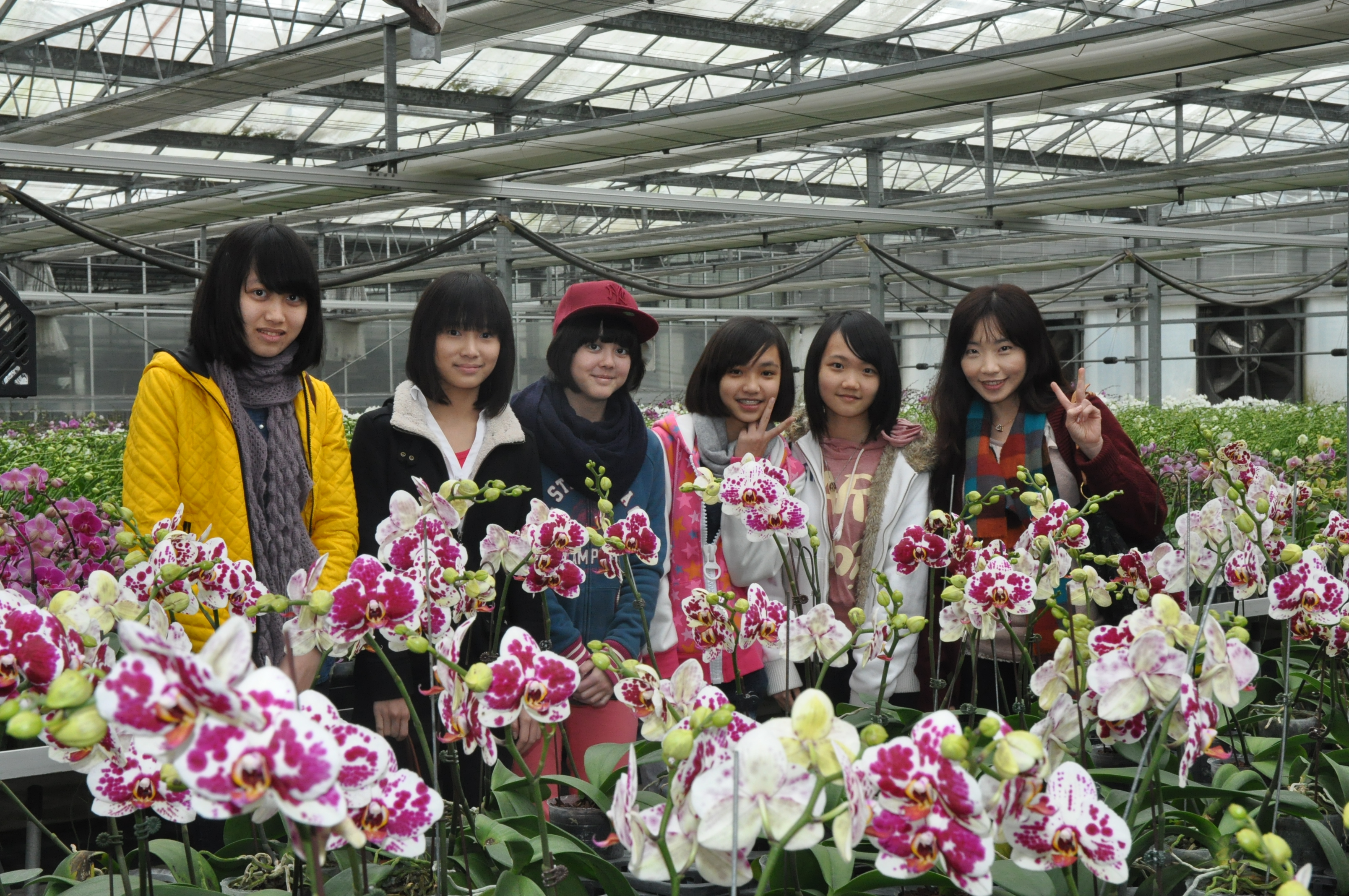 flower